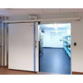 Pvc Cold Storage Room Door